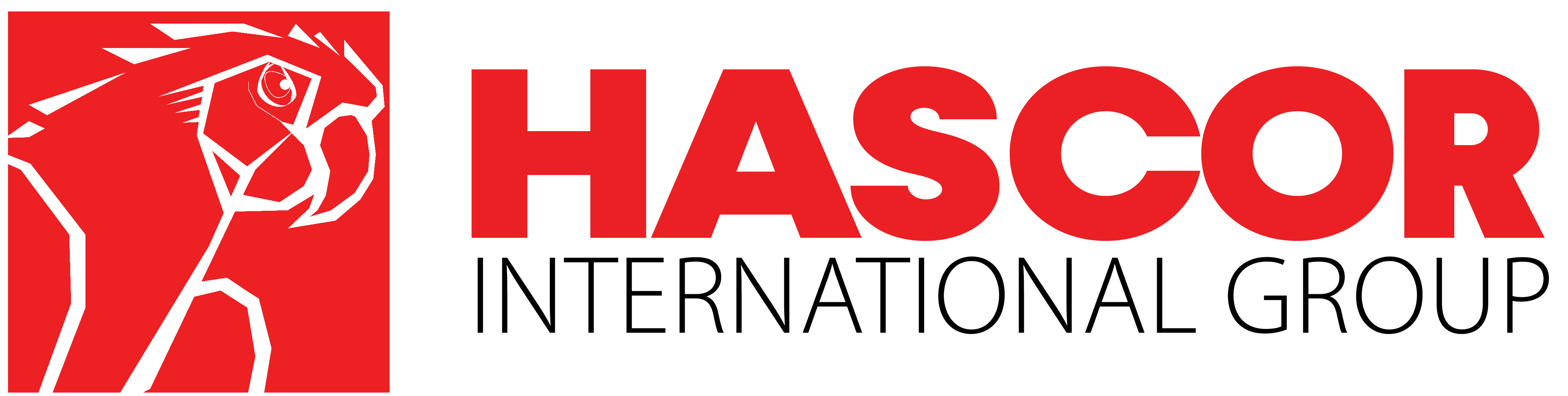 Hascor International Group