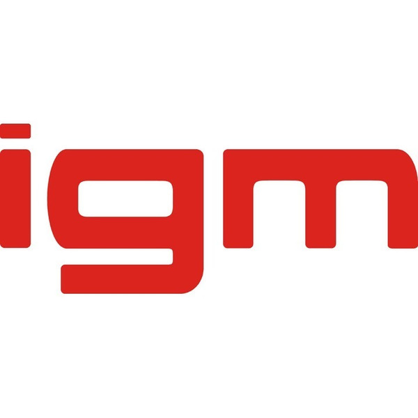 igm Robotersysteme AG