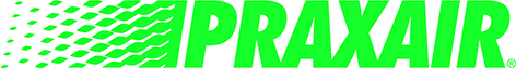 Nippon Gases